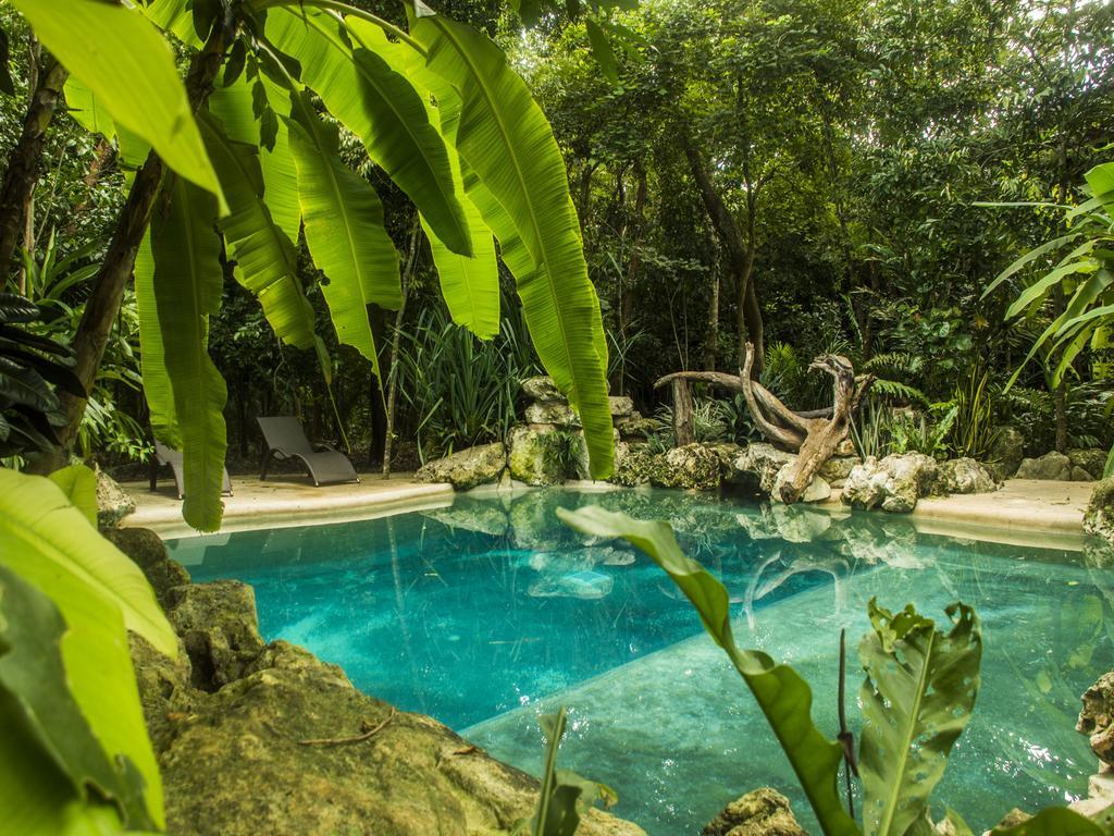 La Hacienda Cancun- El Ramonal, Monkey Sanctuary Hotel Eksteriør billede
